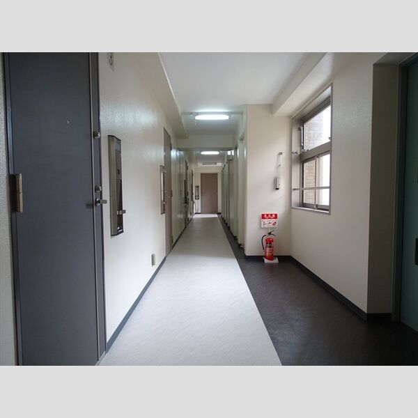 SOUTHERN　CROSS　313 画像8