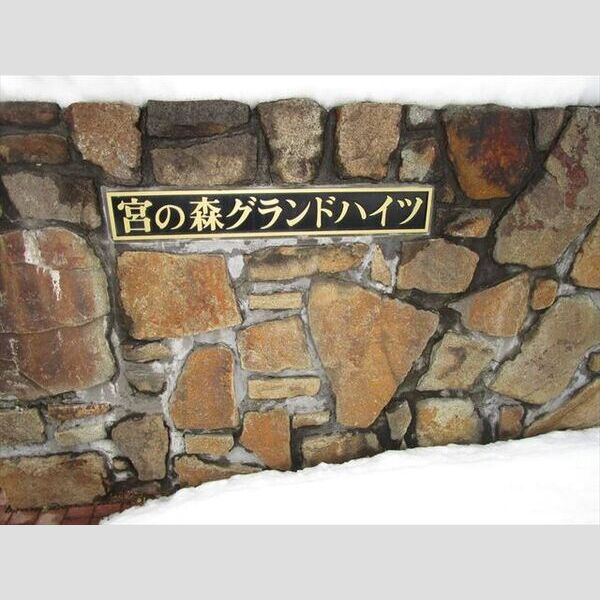 宮の森グランドハイツ 画像2