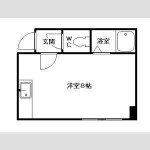 コスモス菊水 画像12