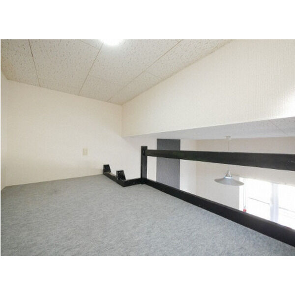 Clover Field(クローバーフィールド) 画像6