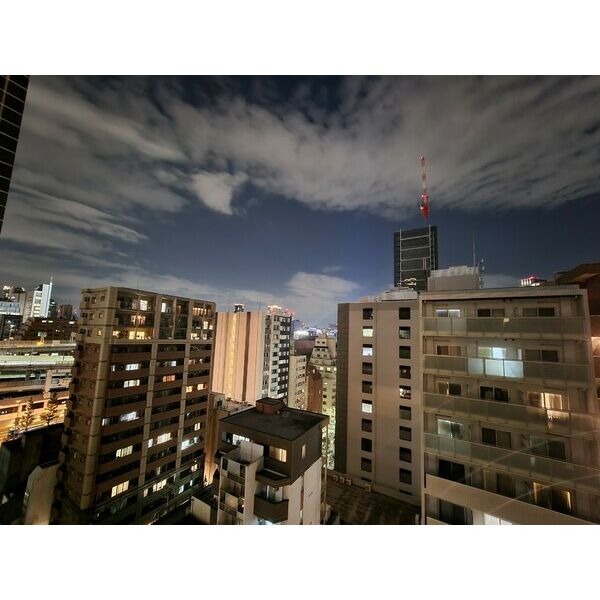 プレサンスレジェンド堺筋本町タワーの室内写真8枚目