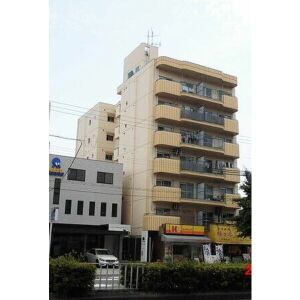 サンハイム星場