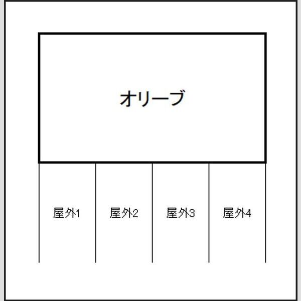 オリーブ 画像2