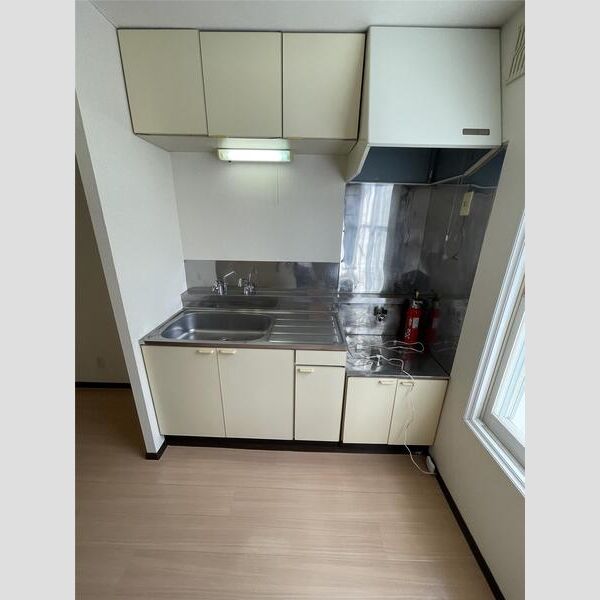 ホワイトコートカヤ8 画像4