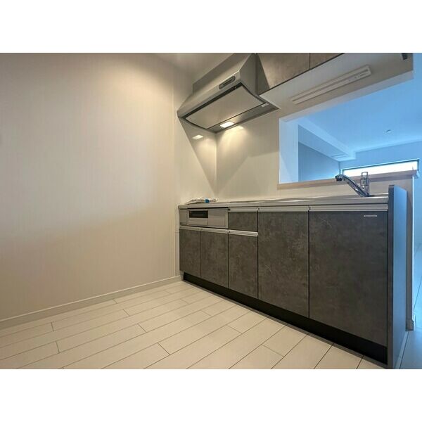 カリーナコートの外観7枚目