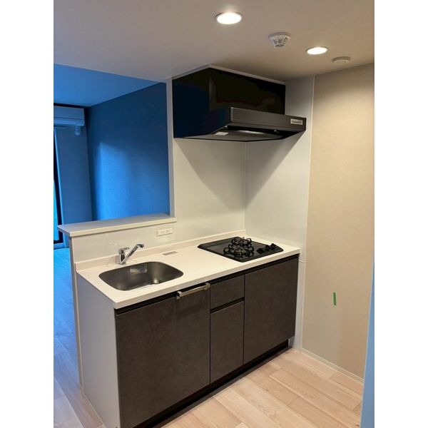 エストゥルース京都IIの室内写真11枚目