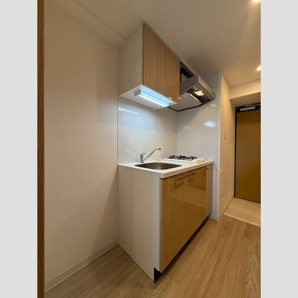 エスリード大阪イーストエッジの室内写真215枚目