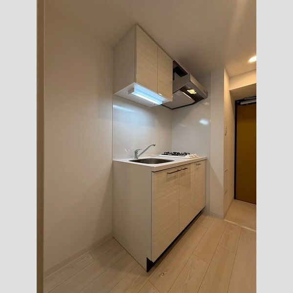 エスリード大阪イーストエッジの室内写真36枚目