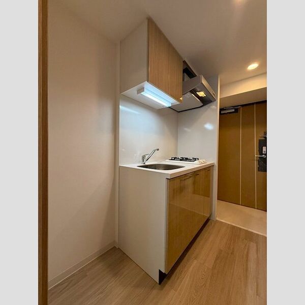 エスリード大阪イーストエッジの室内写真156枚目