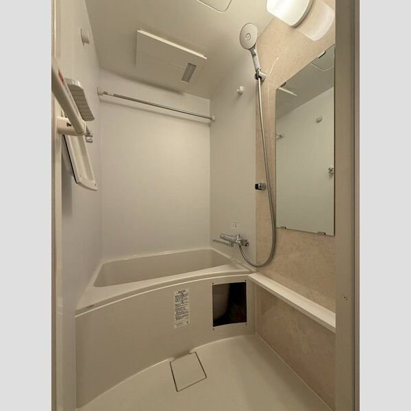 エスリード大阪イーストエッジの室内写真356枚目