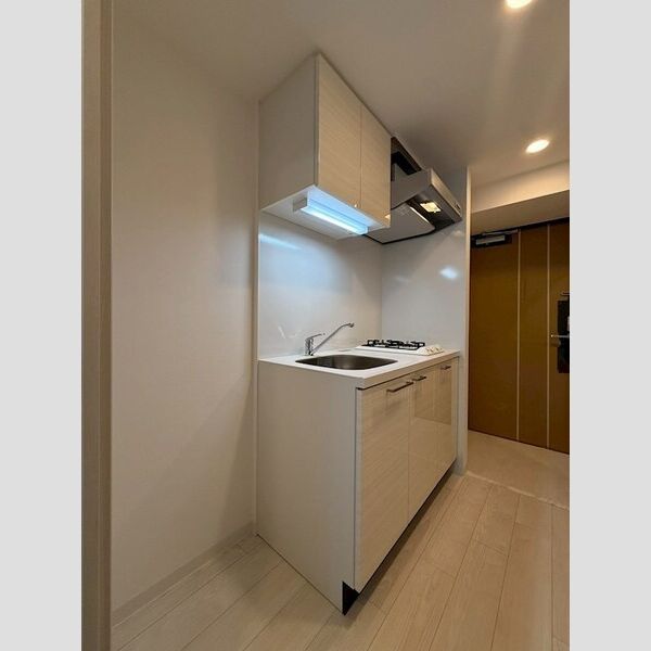 エスリード大阪イーストエッジの室内写真202枚目