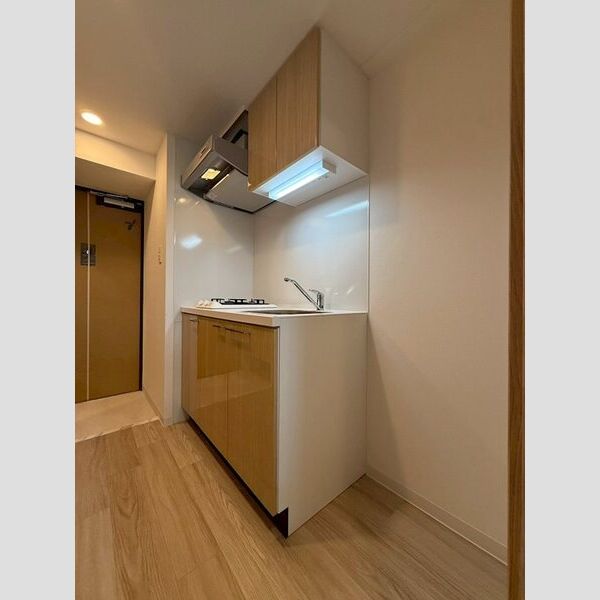 エスリード大阪イーストエッジの室内写真206枚目