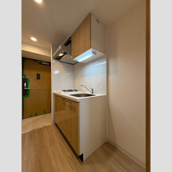 エスリード大阪イーストエッジの室内写真186枚目