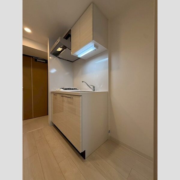 エスリード大阪イーストエッジの室内写真197枚目