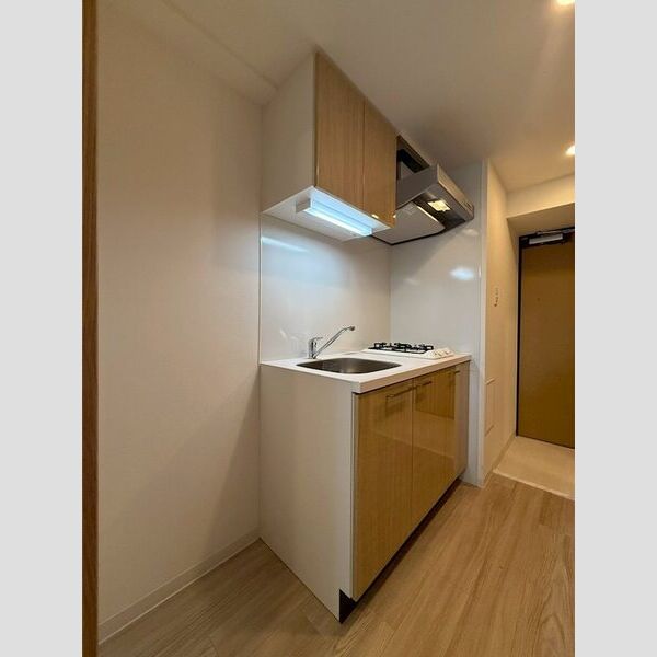 エスリード大阪イーストエッジの室内写真191枚目