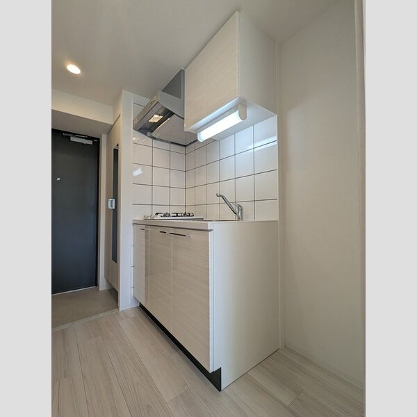 エスリード大阪梅田リュクスの室内写真2枚目