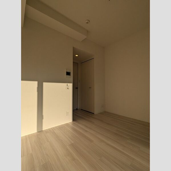 エスリード大阪梅田リュクスの室内写真3枚目