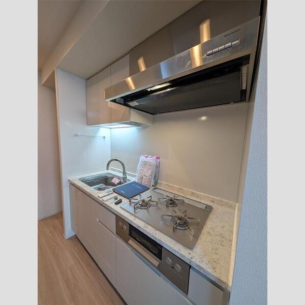 ブランズ御池西洞院の外観4枚目