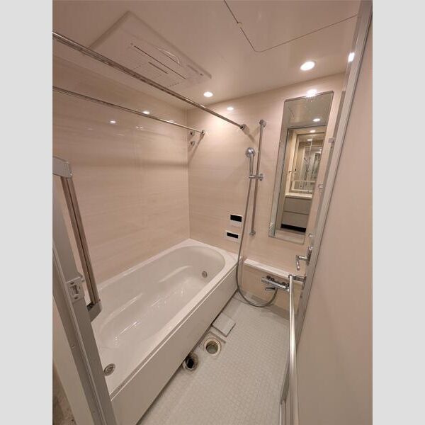 ブランズ御池西洞院の室内写真9枚目