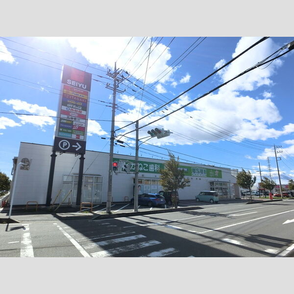 現地周辺 (西友楽市モール)