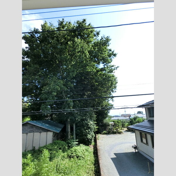 現地周辺 (眺望)