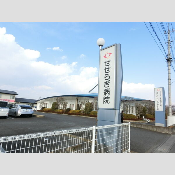 現地周辺 (恵泉会せせらぎ病院)