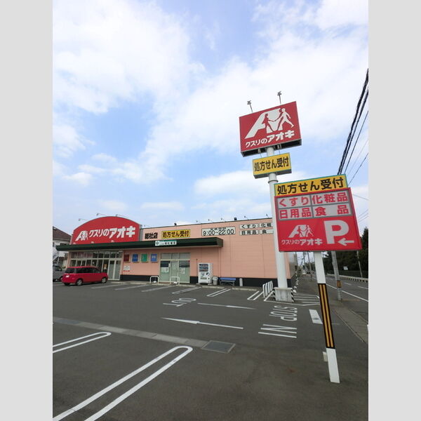 現地周辺 (クスリのアオキ総社店)