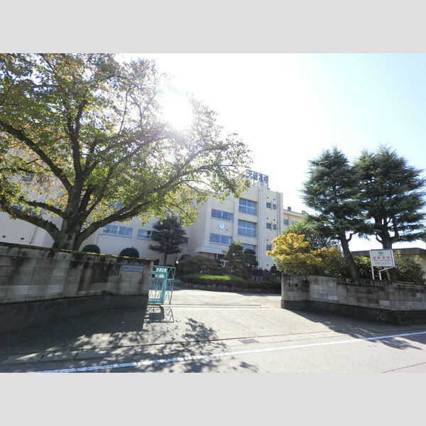現地周辺 (前橋市立元総社中学校(1,095m))