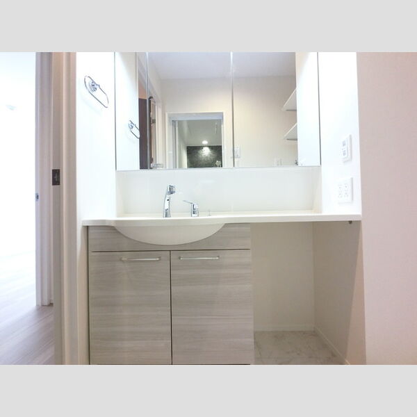 洗面所 (三面鏡付きカウンター洗面化粧台)