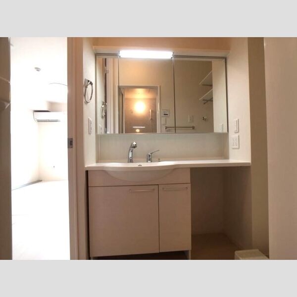 洗面所 (洗髪洗面化粧台)