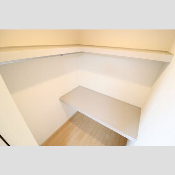 収納 (ウォークインクローゼット)