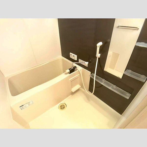バス (広めなユニットバスです。)