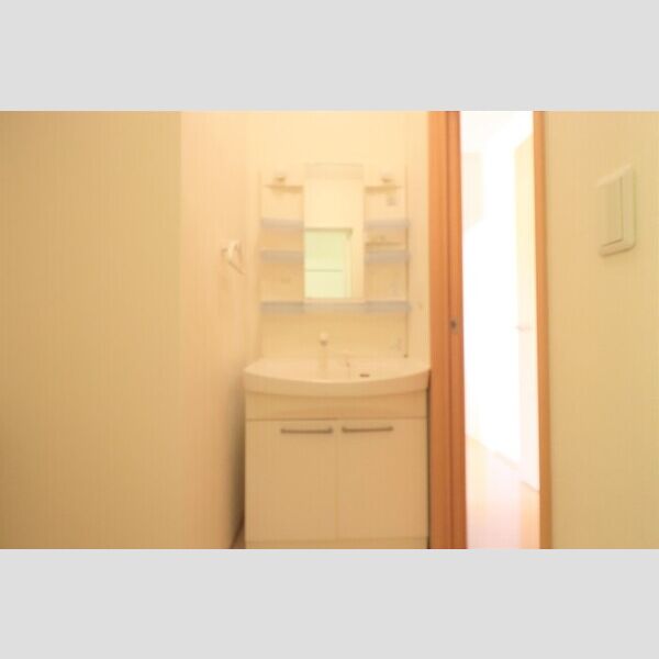 洗面所 (洗面化粧台)