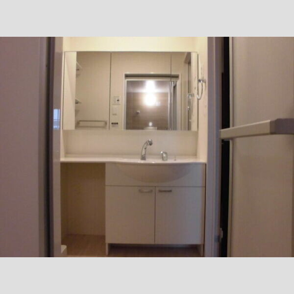 洗面所 (洗髪洗面化粧台)