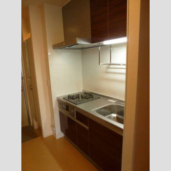 キッチン (キッチン 2口ガスコンロ+グリル付)