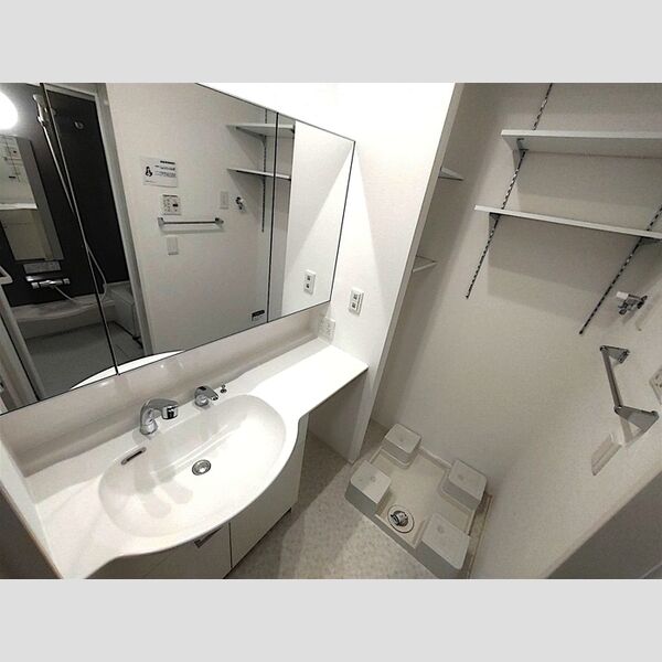 洗面所 (三面鏡付きカウンター洗面化粧台)