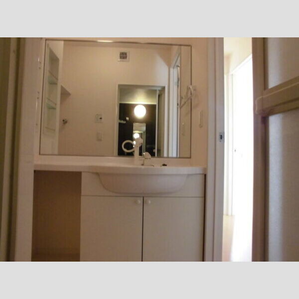 洗面所 (洗髪洗面化粧台)