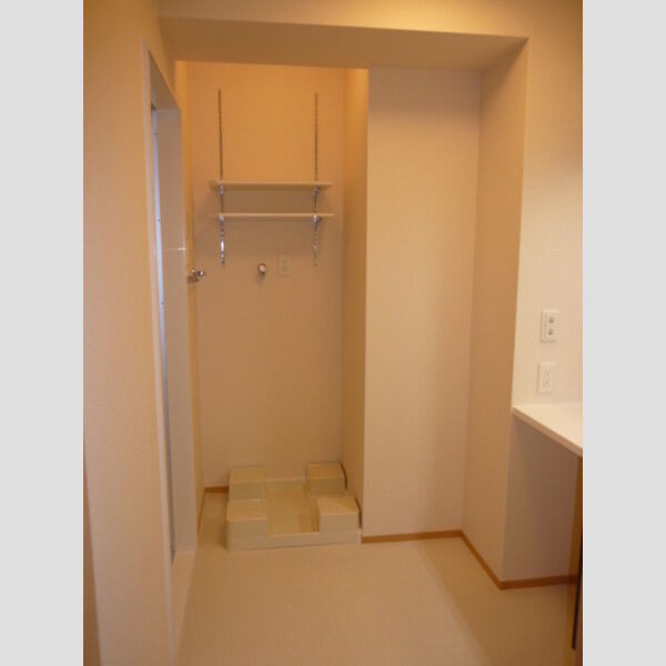 その他 (室内洗濯機置き場)