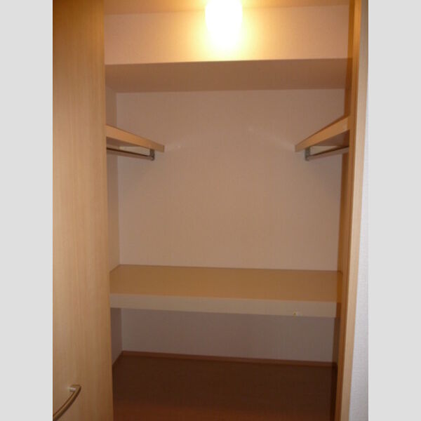 収納 (北洋室ウォークインクローゼット)