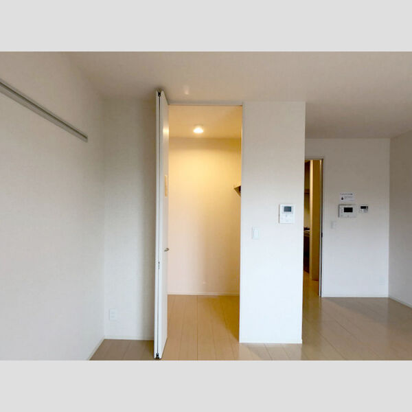 収納 (ウォークインクローゼット)