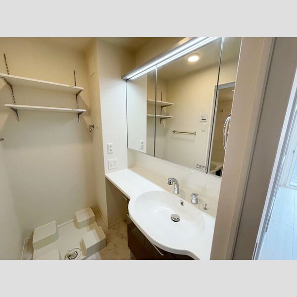 洗面所 (三面鏡付きカウンター洗面化粧台)