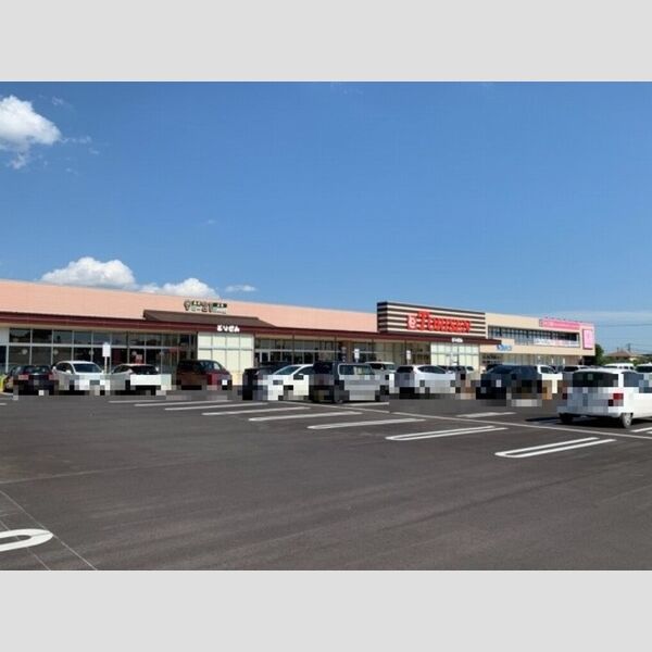 現地周辺 (とりせん宝木店)