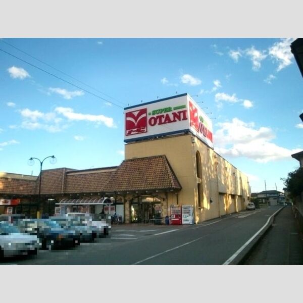 現地周辺 (スーパーオータニ野沢店(686m))