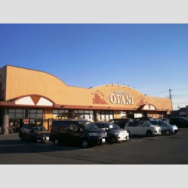 現地周辺 (フードオアシスOTANI五代店)