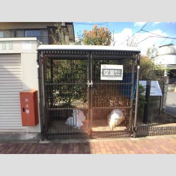 現地周辺 (敷地内ごみステーション)