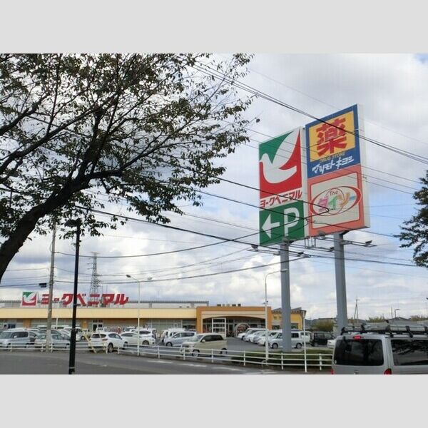現地周辺 (ヨークベニマル鹿沼店(424m))