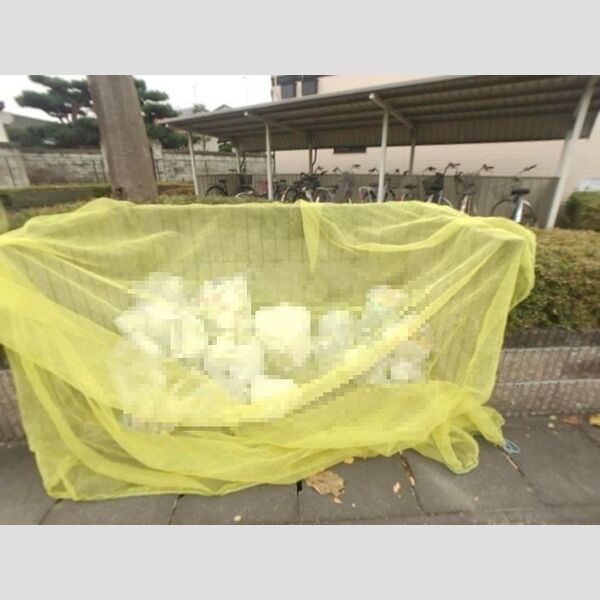 現地周辺 (敷地内ごみステーション)