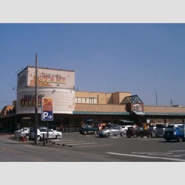 現地周辺 (フードオアシスOTANI　鶴田店(926m))