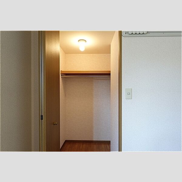 その他 (洋室・ウォークインクローゼット)