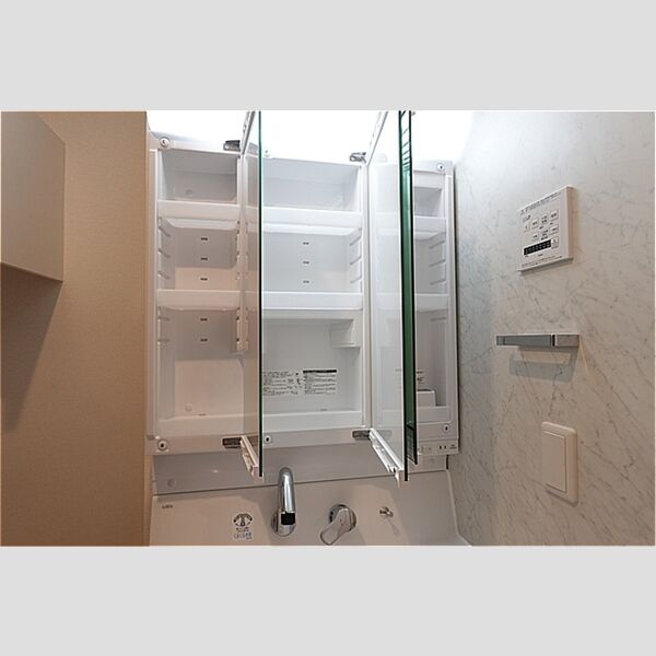 その他 (洗面台・鏡裏収納)